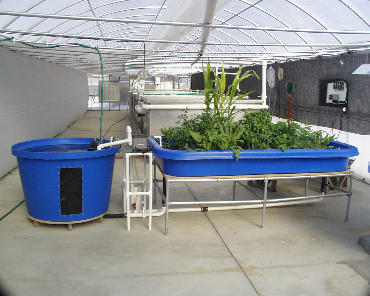 Aquaponics