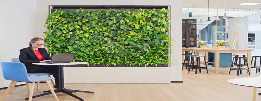 Green Wall by RGJ Power